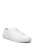 Polo Ralph Lauren Jermain Leather Sneaker Vit