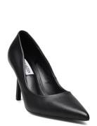 Classie Shoes Heels Pumps Classic Black Steve Madden
