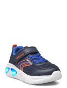 J Assister Boy C Låga Sneakers Blue GEOX