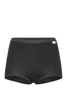 Damella Of Sweden Maxi Brief Svart