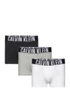 Trunk 3Pk Boxerkalsonger Grey Calvin Klein