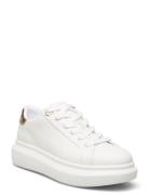 Reia Låga Sneakers White ALDO