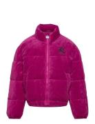 Juicy Couture Juicy Velour Puffa Lila