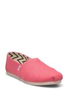 TOMS Alpargata Rosa