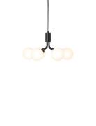 Apiales 6 Home Lighting Lamps Ceiling Lamps Pendant Lamps Black Nuura