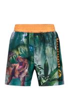 Swimming Shorts Badshorts Multi/patterned Jurassic World