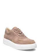 Steve Madden Flynn Sneaker Beige