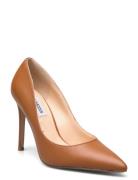 Steve Madden Evelyn-E Pump Brun