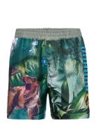 Swimming Shorts Badshorts Multi/patterned Jurassic World