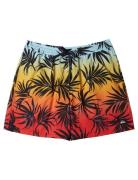 Everyday Mix Volley 15 Badshorts Multi/patterned Quiksilver