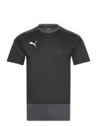 Teamgoal 23 Training Jersey Sport T-shirts Short-sleeved Black PUMA