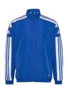 Sq21 Pre Jkt Sport Sweat-shirts & Hoodies Sweat-shirts Blue Adidas Per...