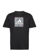 Sport Optimist Sun Logo Sportswear Graphic T-Shirt Sport T-shirts Shor...