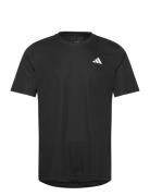 Club Tee Sport T-shirts Short-sleeved Black Adidas Performance