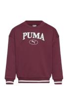 Puma Squad Crew G Sport Sweat-shirts & Hoodies Sweat-shirts Burgundy P...