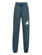 U Fi Logo Pt Sport Sweatpants Blue Adidas Sportswear