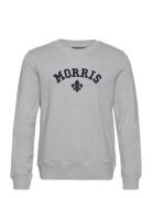 Smith Sweatshirt Designers Sweat-shirts & Hoodies Sweat-shirts Grey Mo...