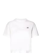 Dickies Oakport Boxy Ss Tee Vit