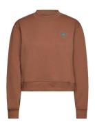 Asmc Reg Sw Sh Sport Sweat-shirts & Hoodies Sweat-shirts Brown Adidas ...