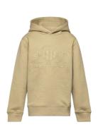 GANT Tonal Shield Hoodie Khaki Green