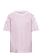 G 3S Bf T Sport T-shirts Short-sleeved Pink Adidas Performance