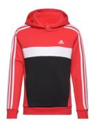 Adidas Sportswear J 3S Tib Fl Hd Röd