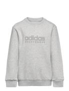 J Allszn Gfx Sw Sport Sweat-shirts & Hoodies Sweat-shirts Grey Adidas ...