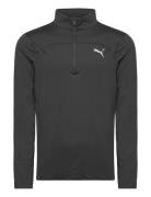 Run Cloudspun 1/4 Zip Sport Sweat-shirts & Hoodies Fleeces & Midlayers...