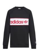 Crew Sport Sweat-shirts & Hoodies Sweat-shirts Black Adidas Originals