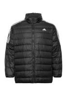Essentials Light Down Jacket Sport Jackets Padded Jacket Black Adidas ...