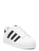 Superstar Xlg J Sport Sneakers Low-top Sneakers White Adidas Originals