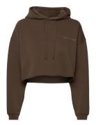 H2O Fagerholt Pro Cropped Sweat Hoodie Brun