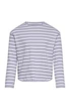 Striped Long Sleeves T-Shirt Tops T-shirts Long-sleeved T-shirts Purpl...