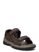 Skechers Mens Relaxed Fit: Tresmen Garo Brun