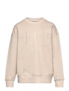 Tom Tailor Over Printed Sweatshirt Beige