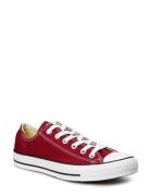 Converse Chuck Taylor All Star Seasonal Burgundy