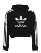 Adidas Originals Adicolor Cropped Hoodie Svart