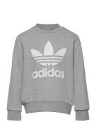 Adidas Originals Trefoil Crew Grå