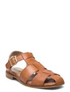 ANGULUS Sandals - Flat Brun