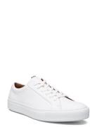 Abel Låga Sneakers White Lloyd