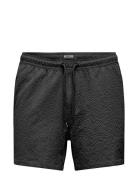 ONLY & SONS Onsted Life Solid Seersucker Swim Noos Svart