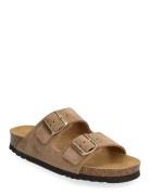 Scholl Sl Josephine Suede Brun