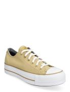 Converse Chuck Taylor All Star Lift Brun