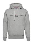 Tommy Hilfiger Core Tommy Logo Hoody