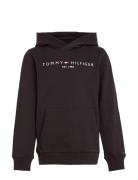 Tommy Hilfiger Essential Hoodie Svart