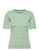 GANT Slim Striped 1X1 Ribbed Ss T-Shirt Grön