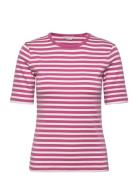 GANT Slim Striped 1X1 Ribbed Ss T-Shirt Rosa