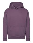 Hco. Guys Sweatshirts Tops Sweat-shirts & Hoodies Hoodies Purple Holli...