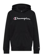 Champion Hooded Sweatshirt Svart