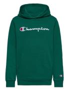 Champion Hooded Sweatshirt Grön